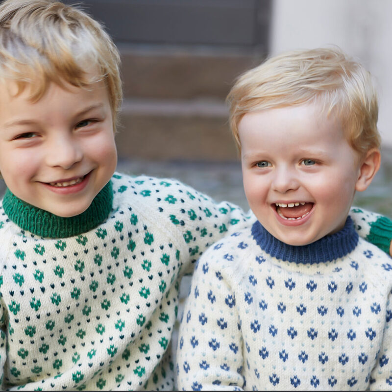 350-3 Blåbärströja i Tumi grån Rauma garn